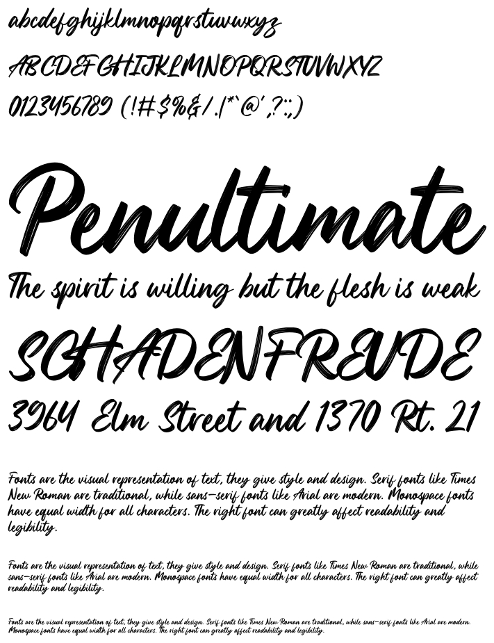 Image descriptive du font